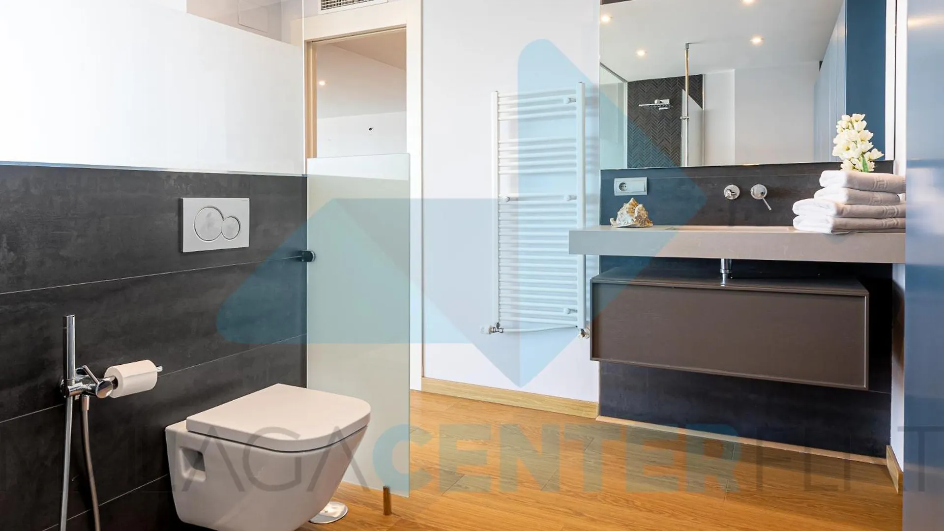 Malaga Center Flat Exclusive Apartment