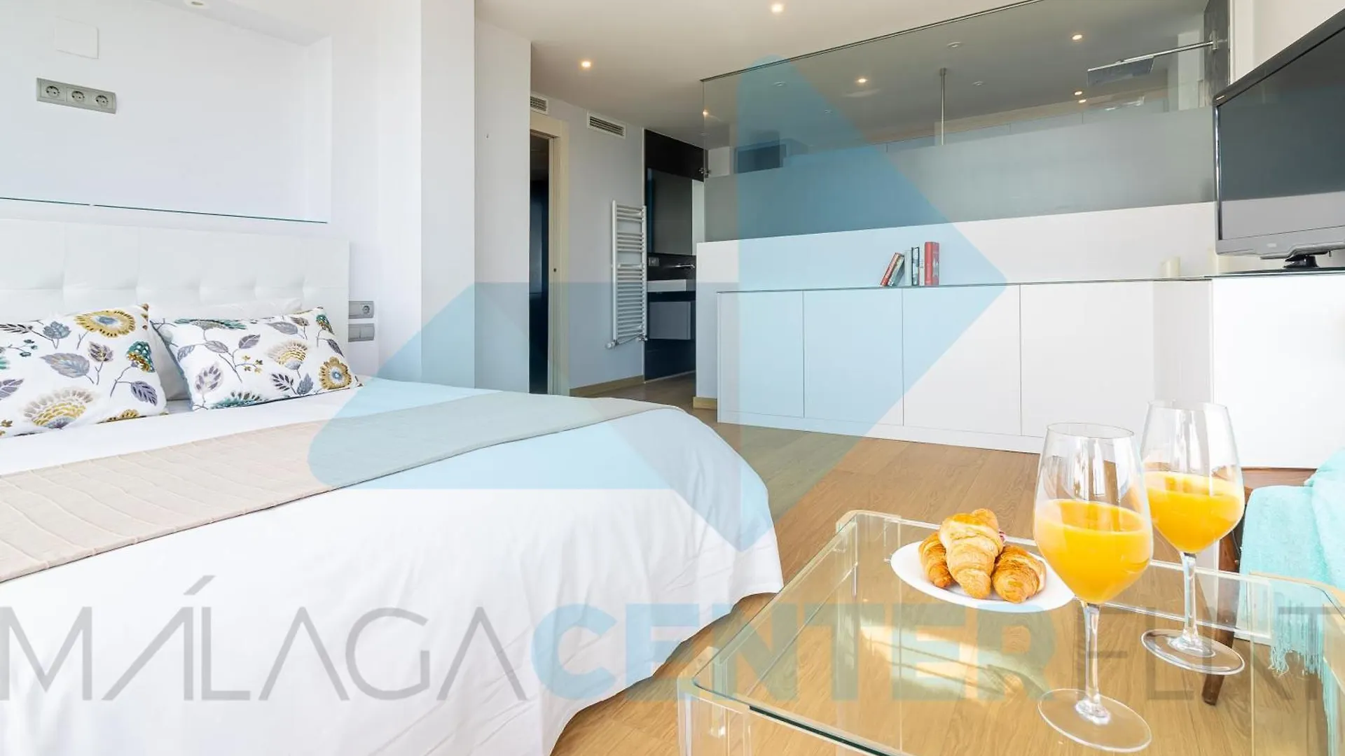 Malaga Center Flat Exclusive Apartment