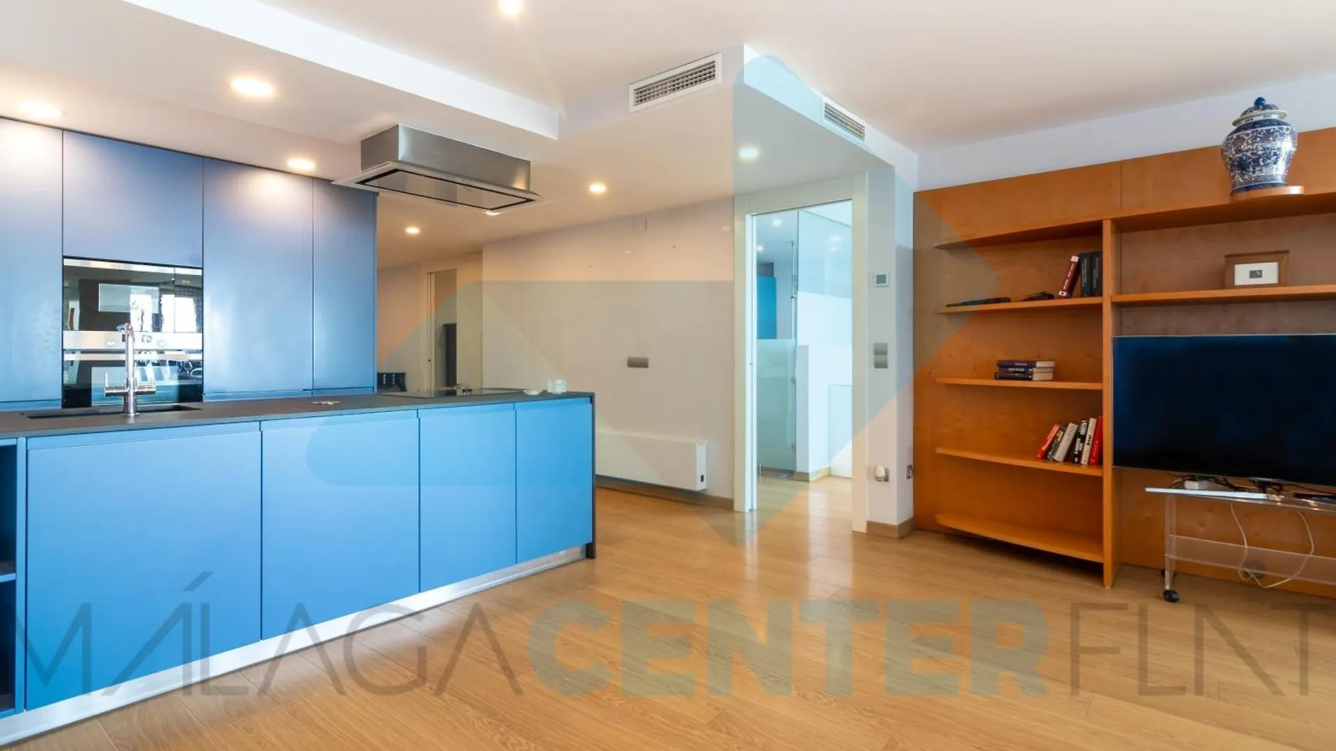Malaga Center Flat Exclusive Apartment